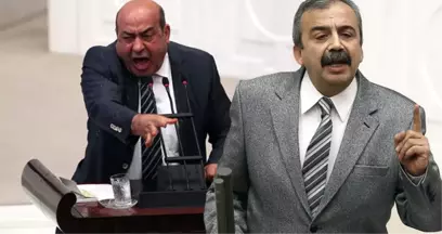 HDP'li Kaplan'dan Olay Sözler: Demirtaş'ın Yerine Bir Türk Göz Dikmesin, Sırrı Film Çeksin