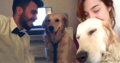 Eski Sevgililerin Köpek Davası Avukatlar Yüzünden Yarım Kaldı