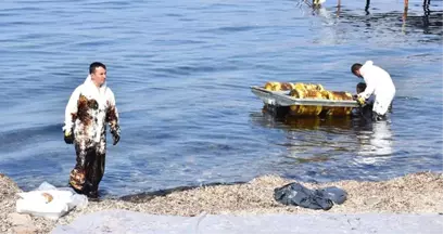 Savcılık, İzmir Aliağa'da Denizi Kirleten Gemiye El Koydu