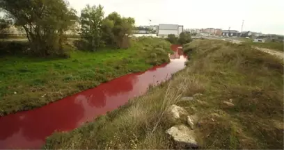 Kimyasal Atık Nedeniyle Dere Kırmızı ve Pembe Akıyor