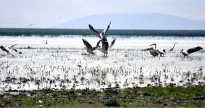 Su Kaynaklarının Kesilmesi Nedeniyle Eber Gölü Haritadan Silindi