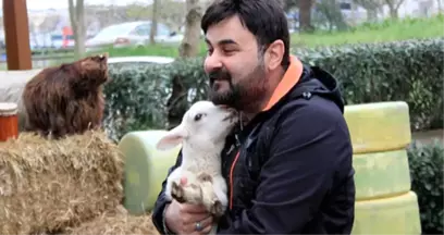 Maceracı Murat Yeni, İfadesinde Her Şeyi İtiraf Etti!