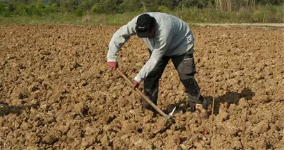 Antalya'da Kurulan Güneş Tarlası ile 8 Bin 600 Çiftçinin Elektrik İhtiyacı Karşılanıyor