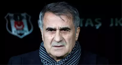 Fikret Orman, Şenol Güneş'in Ayrılmasının Ardından Bilic'e Teklif Götürecek