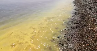 Çanakkale'nin Ayvacık Sahilinde Denizin Rengi Değişti