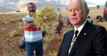 Bahçeli'den, Komünist Başkan'ın 