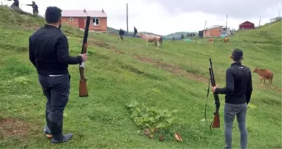 Köy halkı, tüfekle sürülerinin başında kurt nöbeti tutuyor