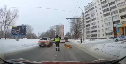 Köpeğin Yardımına Polis Koştu