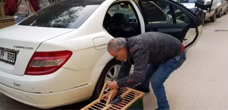 Lüks Otomobilde Kanatlı Hayvanlar Ölüme Terk Edildi