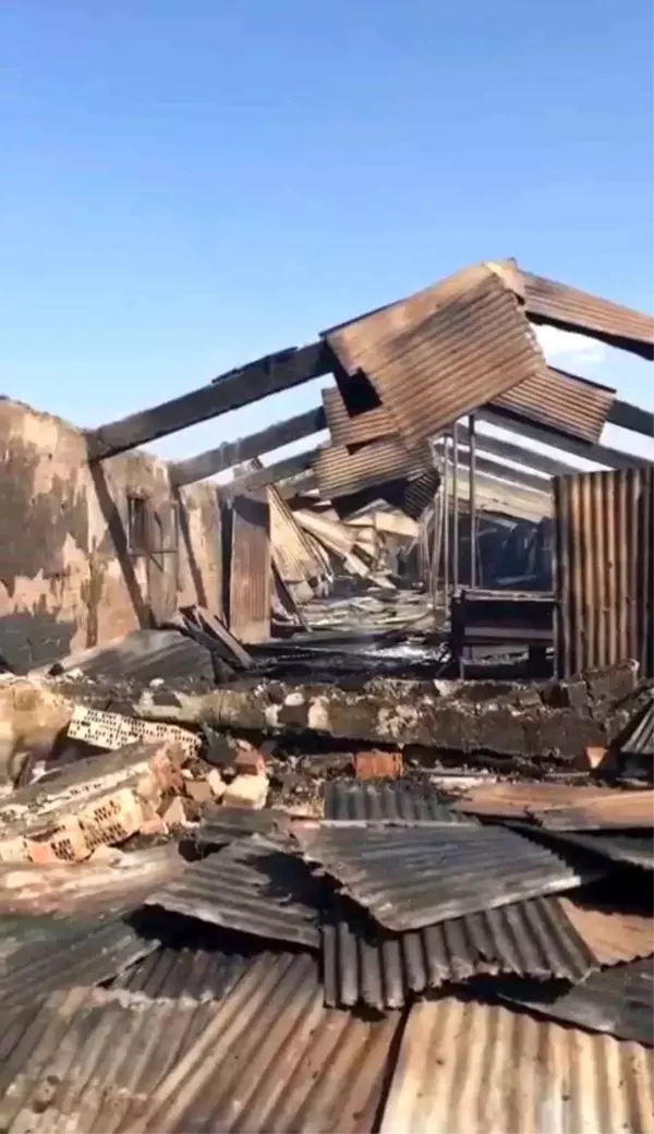 Elazığ'da eski Yazıkonak Belde Belediyesi Başkanı Nurettin Aydın'a ait ahırda yangın çıktı