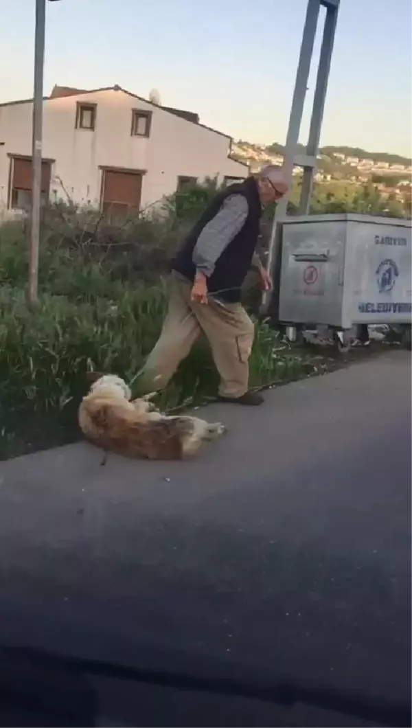 Son dakika haber! SARIYER'DE KÖPEĞİNİ SİLAHLA VURARAK ÖLDÜRDÜĞÜ İDDİA EDİLEN KİŞİ GÖZALTINA ALINDI