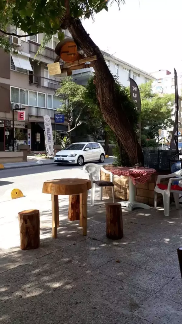 Rize'ye gidemedi, Rize'yi İstanbul'a getirdi! Kadıköy'ün ortasına kovan koydu