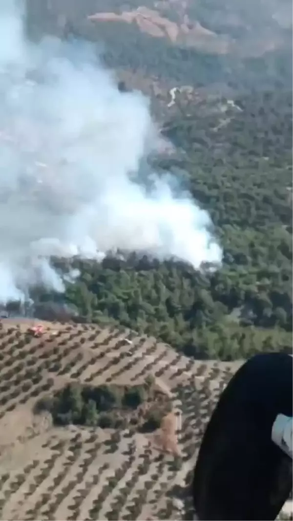 Hatay'ın Belen ilçesinde orman yangını çıktı