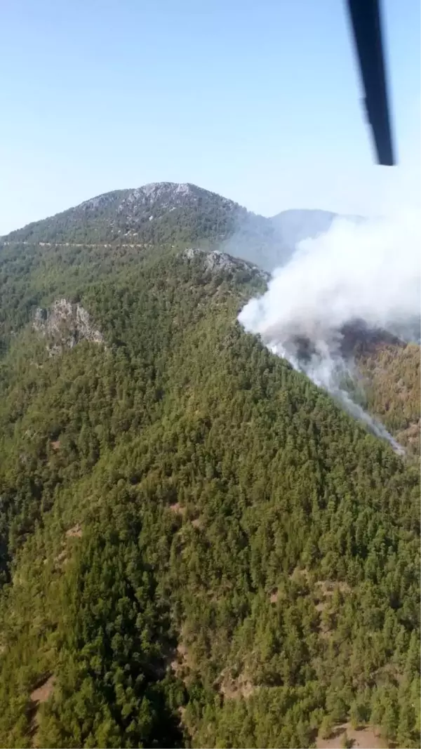 Son dakika haberi... Gündoğmuş'ta orman yangını