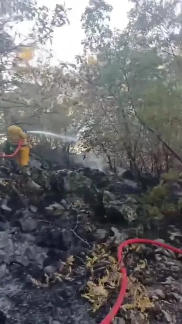 Kahramanmaraş'taki Yangın Kontrol Altına Alındı, Denizli'deki Yangına Müdahale Devam Ediyor