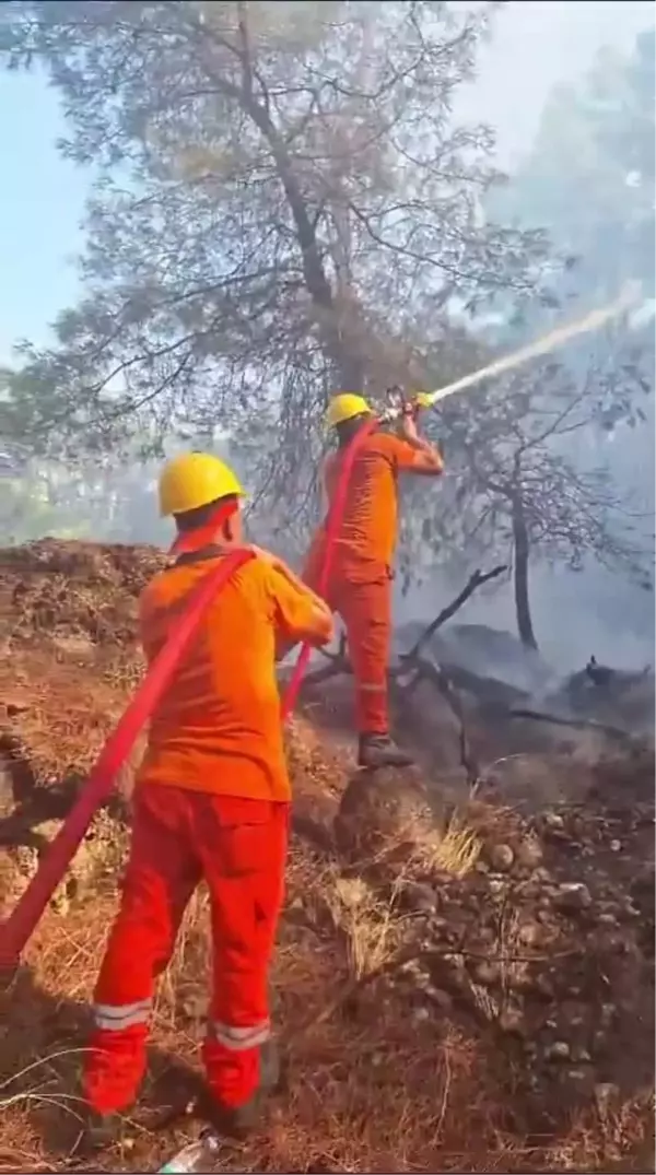 Antalya Serik'te çıkan orman yangını kontrol altına alındı