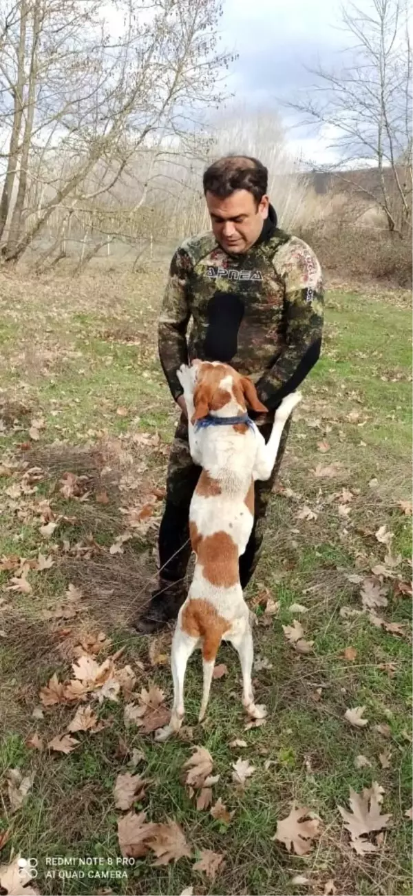 Simav Çayı'nda mahsur kalan köpek kurtarıldı