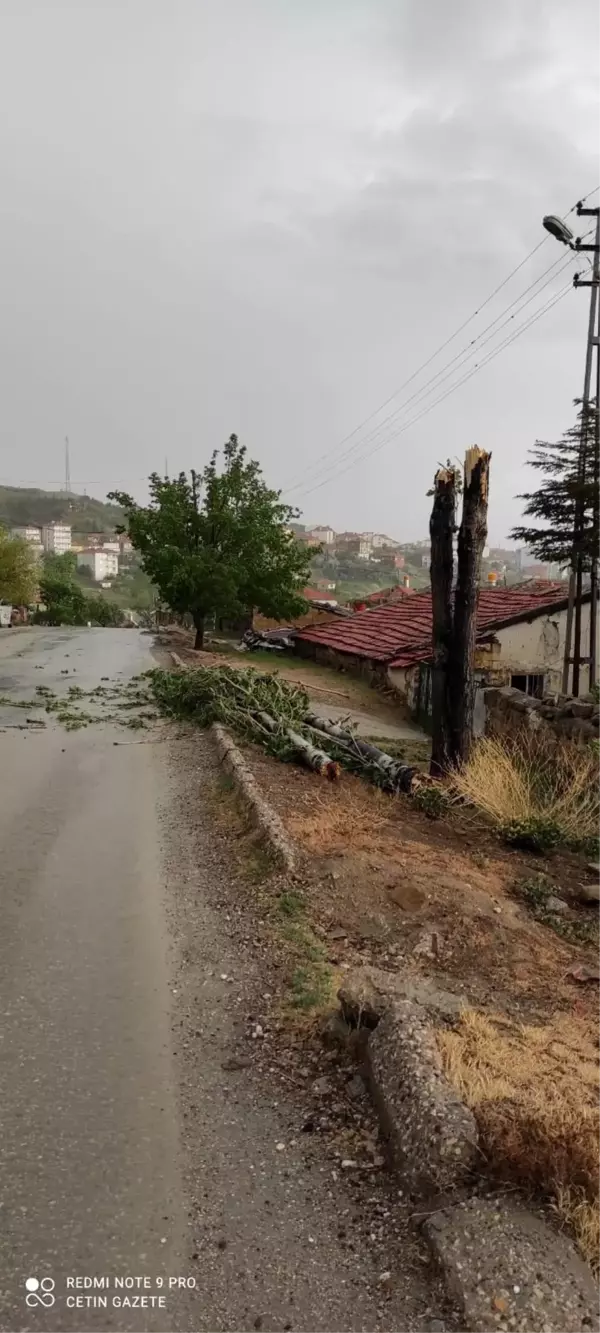 Ankara'daki fırtına minarenin kubbesini devirdi