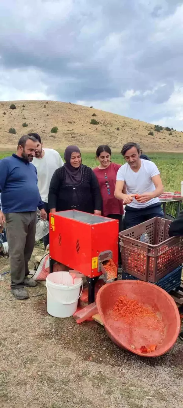 Ünlü Oyuncu Ersin Korkut, Bitlis'te Tarım İşçileriyle Domates Topladı