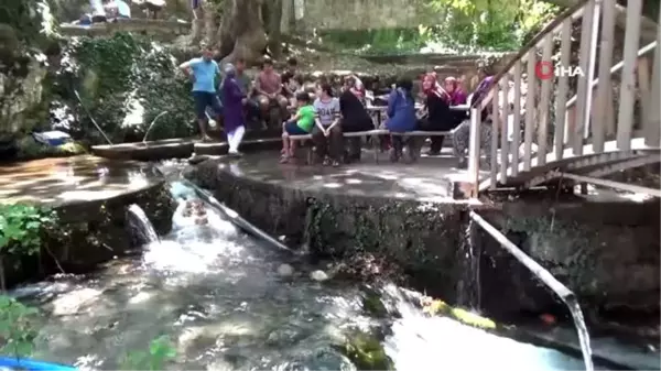 Kadın muhtar, yerli ve yabancı turistleri Pınargözü mesire alanına bekliyor