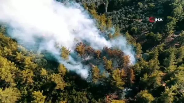 Fethiye'deki orman yangını söndürüldü