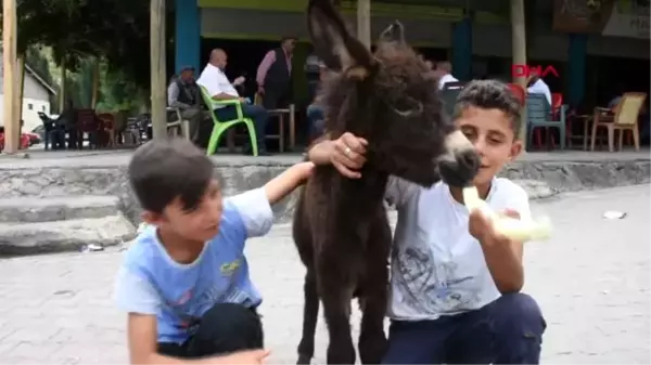 MUŞ ANNESİ ÖLEN SIPAYI BİBERONLA BESLİYORLAR