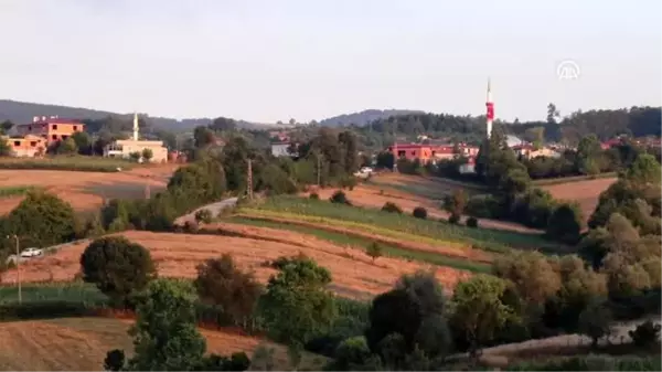 Bitlis'teki terör saldırısı