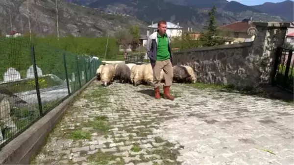 Huzuru Köyde Bulanlar - Muhasebeciliği bıraktı köyünde hayvancılık yapıyor