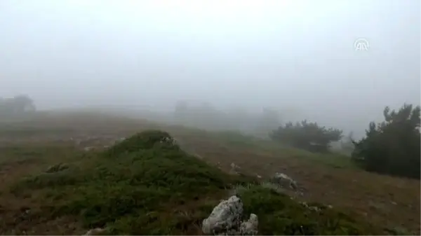 Yaylada hayvan otlatırken kaybolan çocuk bulundu