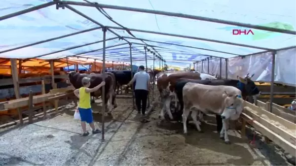 BURSA BÜYÜKŞEHİR BELEDİYESİ KURBAN PAZARLARINDA İLAÇLAMA YAPTI