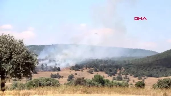 AFYONKARAHİSAR Sandıklı'da orman yangını