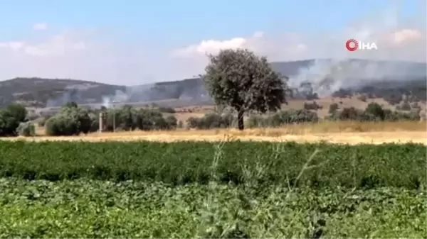 Sandıklı'nın Akharım beldesinde orman yangını