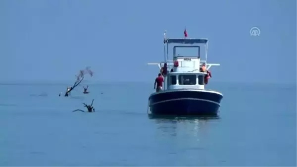 Akçakoca'da selde denize sürüklenen ağaç parçaları temizleniyor