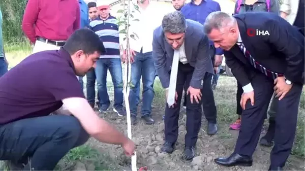 Ağrı'da iki yılda 126 bin ağaç dikildi