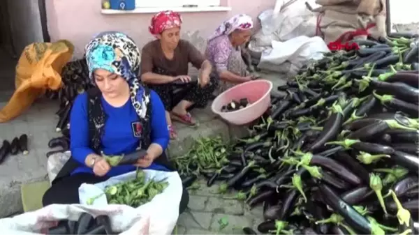 AYDIN Küçük bir mahallede kuruyor, dünya sofralarını süslüyor