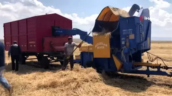 Kars'ta köylüler, güneş altında patos vuruyor