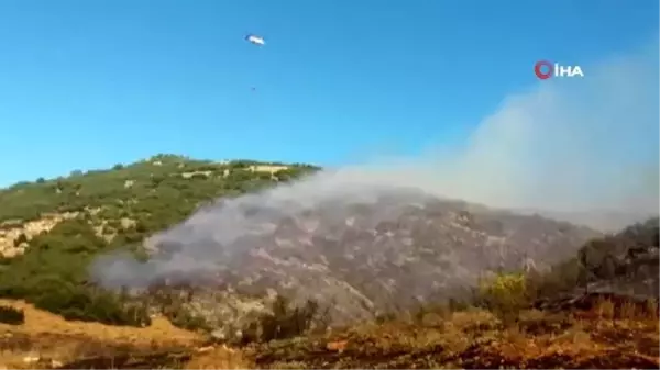 Afyon'da orman yangını