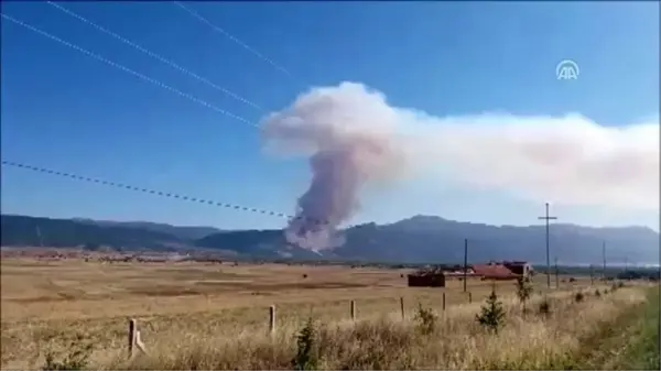 Başmakçı'da orman yangını