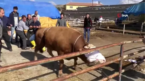 Yozgat'ta kurban satışları birinci gün de devam etti