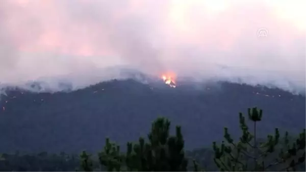 Vali Toraman'dan orman yangınıyla ilgili açıklama