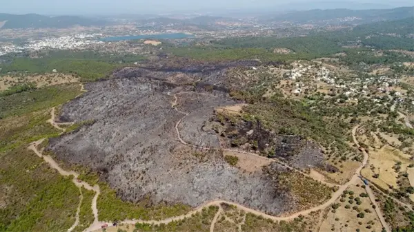 Bodrum'da küle dönen bölge havadan görüntülendi