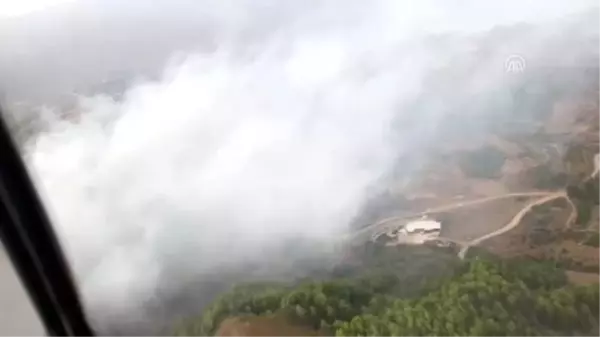 Antakya'da orman yangını