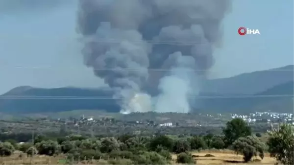 Muğla'da Milas'ın ardından Bodrum'da 2. büyük orman yangını