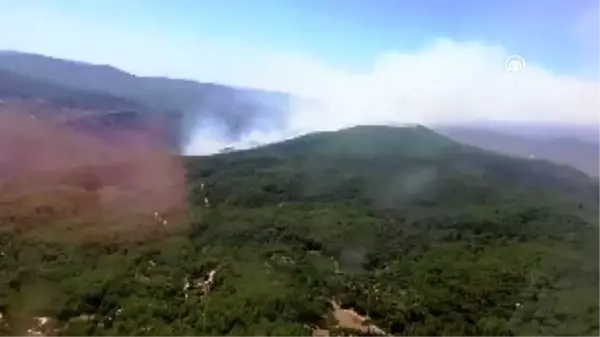 Muğla'da orman yangını (2)