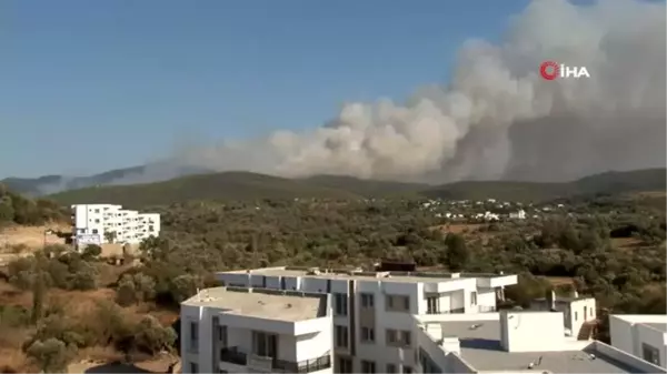 Muğla'daki orman yangınları devam ediyor