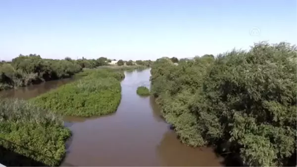 Gediz Nehri'ndeki kirlilik