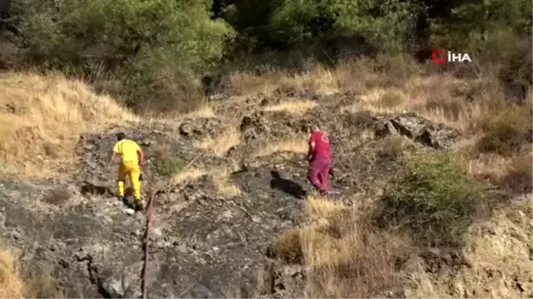 Hatay'daki orman yangını söndürüldü