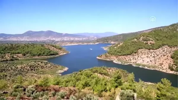 Muğla'daki orman yangını kontrol altına alındı