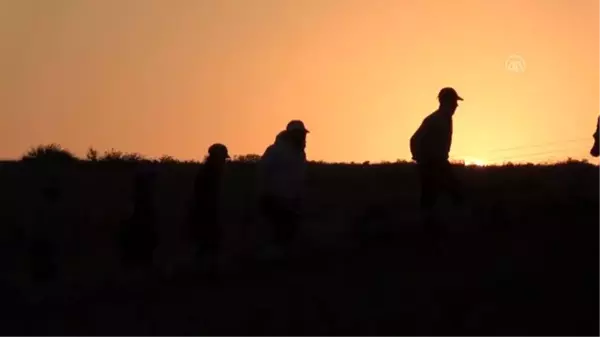 Suriye sınırındaki Oylum Höyük'te kazılar yeniden başladı - KİLİS