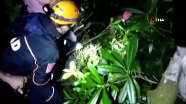 Dünyanın en yaşlı porsuk ağacını görmek için gittikleri dağlık alanda kayboldular